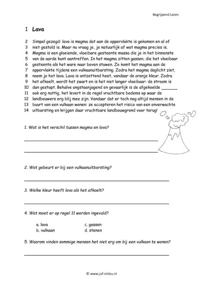 Begrijpend Lezen set 7 - Afbeelding 3