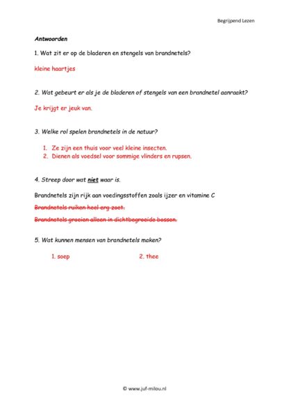 Begrijpend Lezen set 7 - Afbeelding 5