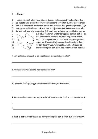 Begrijpend Lezen set 8 - Afbeelding 2