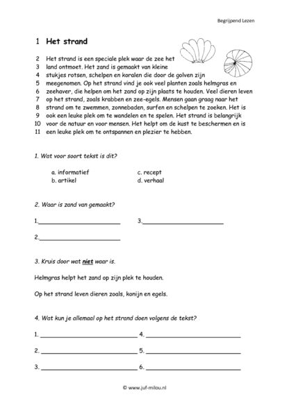 Begrijpend Lezen set 8 - Afbeelding 4