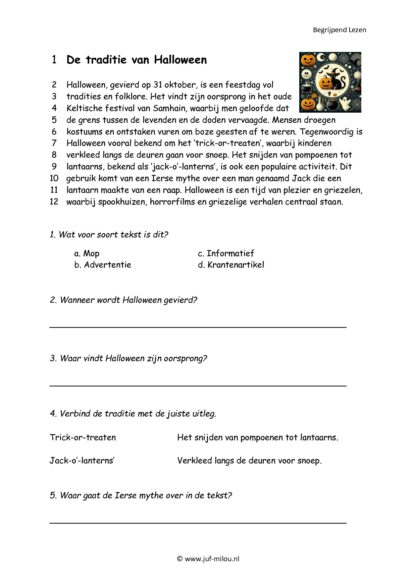 Begrijpend Lezen set 11 feesten - Afbeelding 3