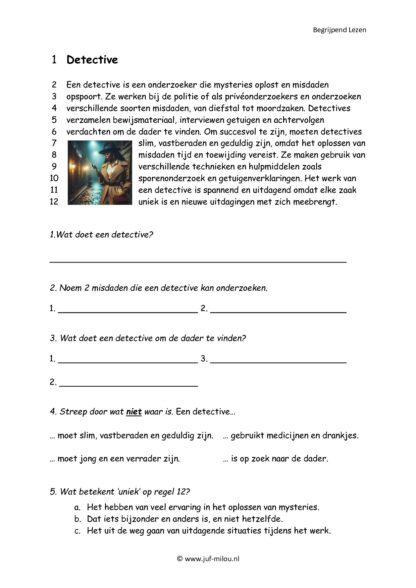 Begrijpend Lezen set 12 beroepen - Afbeelding 4