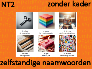 Zelfstandige naamwoorden zonder kader