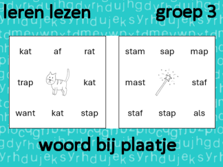 Leren lezen - woord bij plaatje
