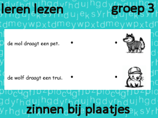 Leren lezen - Zinnen - plaatjes - lijnen
