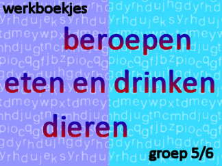 Werkboekjes groep 5/6 - Set 1