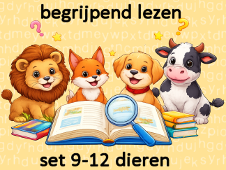Begrijpend Lezen set 9 t/m 12