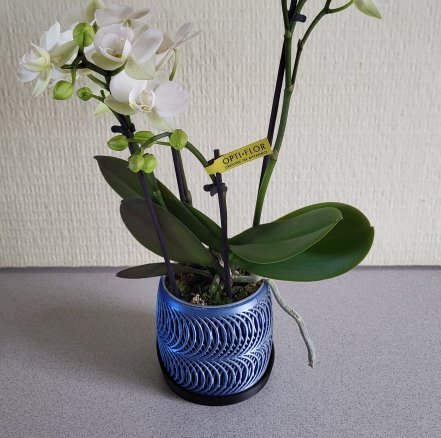 Leuk bloempotje met bodemplaat